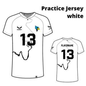 Cardinals Practice-Jersey - white (Men's Cut)