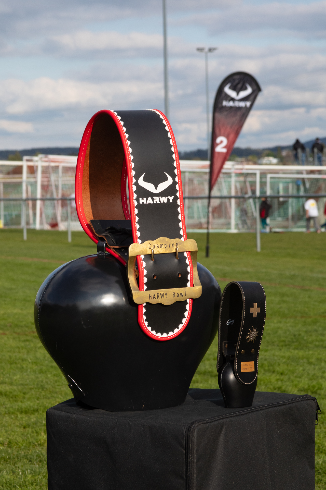 HARWYBOWL25-482