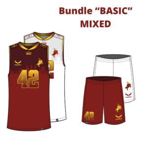 Warriors Bundle "BASIC" - MIXED