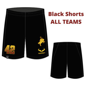Warriors Practice Shorts black - ALL TEAMS