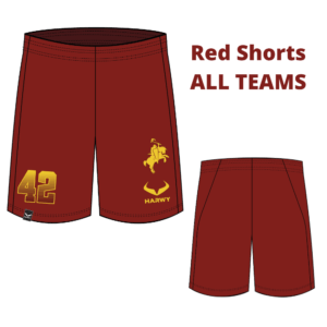 Warriors Game Shorts red - ALL TEAMS