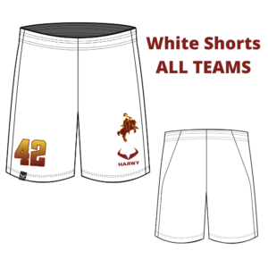 Warriors Practice Shorts white - ALL TEAMS