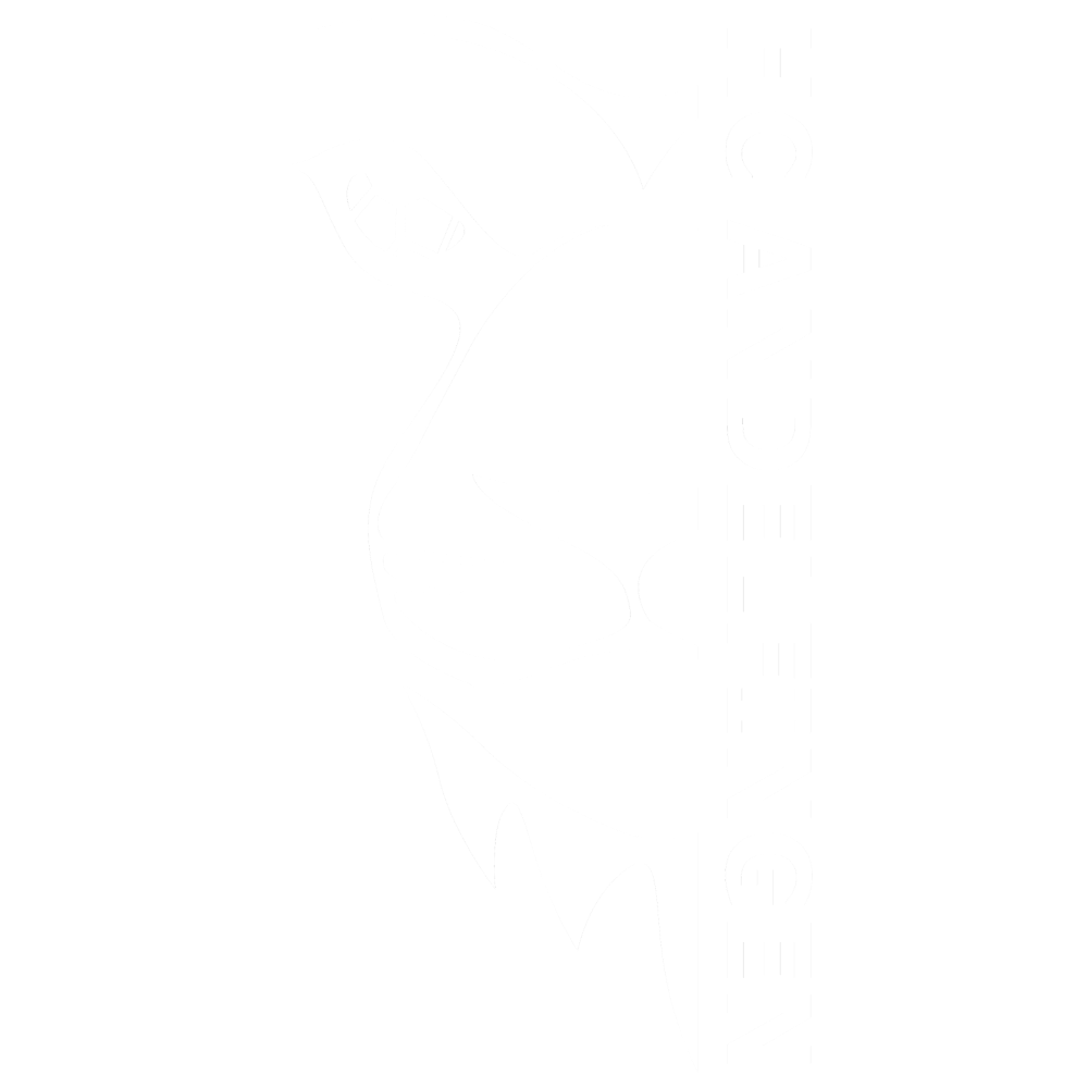 Logo Handballclub Andelfingen weiss