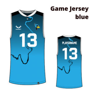 Cardinals Game Jersey - blue