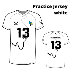 Cardinals Practice Jersey - white