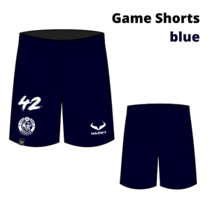 Vipers Game Shorts - blue